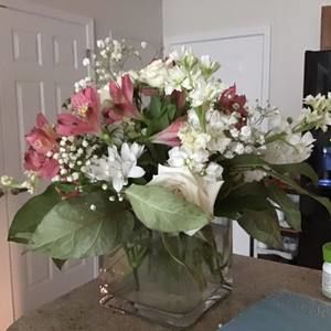 Meet your Posher, Janis